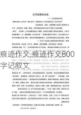 痕迹作文,痕迹作文800字记叙文-第3张图片-安安范文网