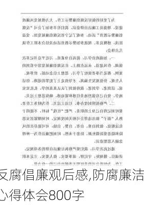 反腐倡廉观后感,防腐廉洁心得体会800字-第2张图片-安安范文网