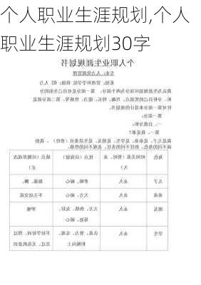 个人职业生涯规划,个人职业生涯规划30字-第2张图片-安安范文网