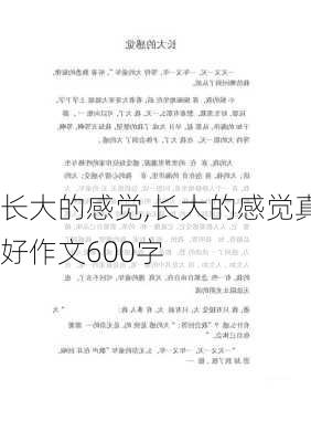 长大的感觉,长大的感觉真好作文600字-第3张图片-安安范文网