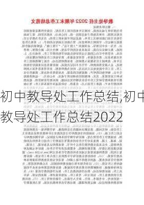 初中教导处工作总结,初中教导处工作总结2022-第2张图片-安安范文网