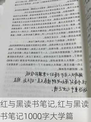 红与黑读书笔记,红与黑读书笔记1000字大学篇-第2张图片-安安范文网