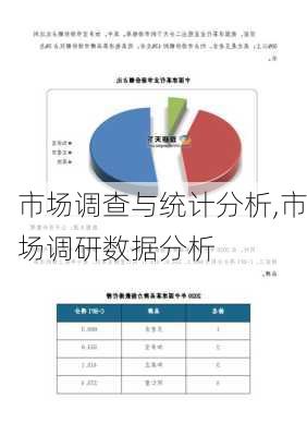 市场调查与统计分析,市场调研数据分析-第2张图片-安安范文网