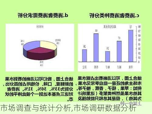 市场调查与统计分析,市场调研数据分析-第3张图片-安安范文网