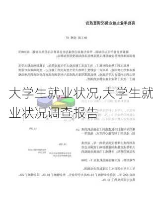 大学生就业状况,大学生就业状况调查报告-第2张图片-安安范文网