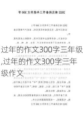 过年的作文300字三年级,过年的作文300字三年级作文-第1张图片-安安范文网