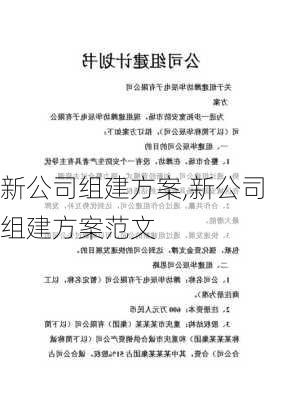 新公司组建方案,新公司组建方案范文-第2张图片-安安范文网