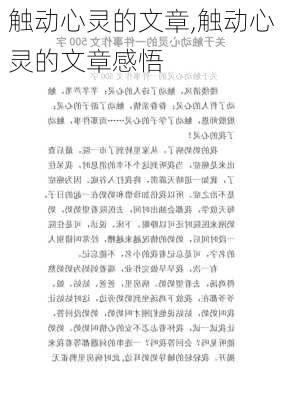 触动心灵的文章,触动心灵的文章感悟-第1张图片-安安范文网