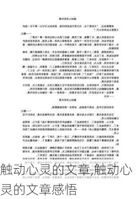 触动心灵的文章,触动心灵的文章感悟-第2张图片-安安范文网