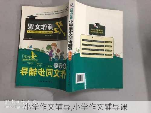 小学作文辅导,小学作文辅导课-第3张图片-安安范文网