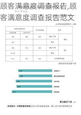 顾客满意度调查报告,顾客满意度调查报告范文-第3张图片-安安范文网