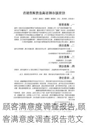 顾客满意度调查报告,顾客满意度调查报告范文-第2张图片-安安范文网