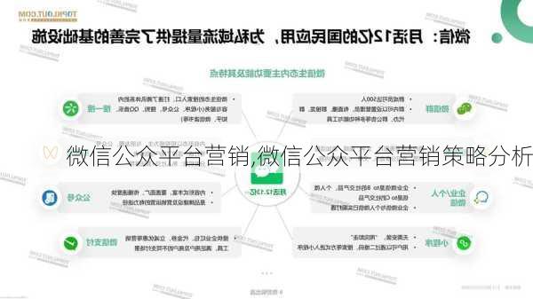 微信公众平台营销,微信公众平台营销策略分析-第2张图片-安安范文网