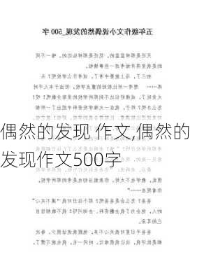 偶然的发现 作文,偶然的发现作文500字-第3张图片-安安范文网