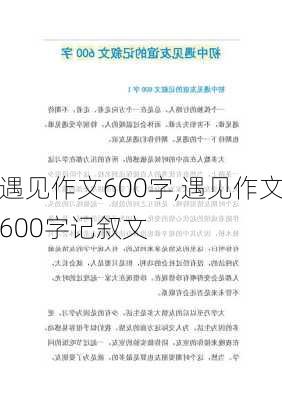 遇见作文600字,遇见作文600字记叙文-第2张图片-安安范文网