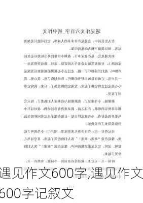 遇见作文600字,遇见作文600字记叙文-第3张图片-安安范文网