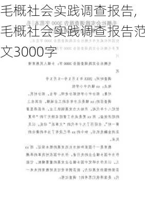 毛概社会实践调查报告,毛概社会实践调查报告范文3000字-第1张图片-安安范文网