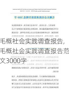 毛概社会实践调查报告,毛概社会实践调查报告范文3000字-第2张图片-安安范文网