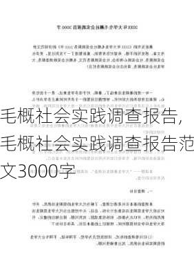 毛概社会实践调查报告,毛概社会实践调查报告范文3000字-第3张图片-安安范文网