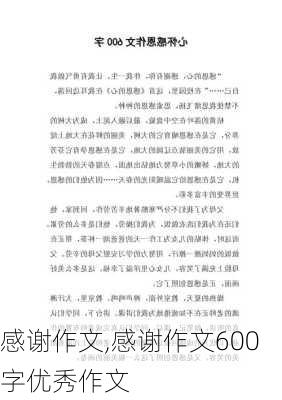 感谢作文,感谢作文600字优秀作文-第2张图片-安安范文网