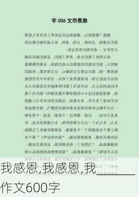 我感恩,我感恩,我______作文600字-第3张图片-安安范文网