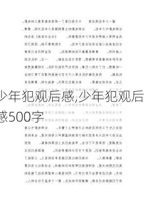 少年犯观后感,少年犯观后感500字-第2张图片-安安范文网