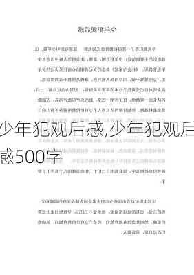 少年犯观后感,少年犯观后感500字-第3张图片-安安范文网