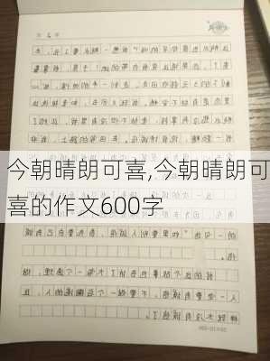 今朝晴朗可喜,今朝晴朗可喜的作文600字-第3张图片-安安范文网