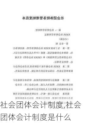 社会团体会计制度,社会团体会计制度是什么-第2张图片-安安范文网