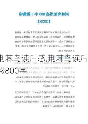 荆棘鸟读后感,荆棘鸟读后感800字-第1张图片-安安范文网