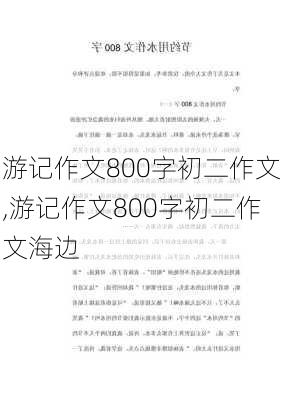 游记作文800字初二作文,游记作文800字初二作文海边-第3张图片-安安范文网