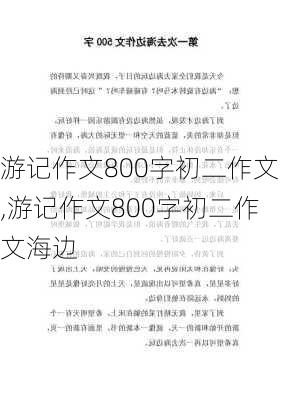 游记作文800字初二作文,游记作文800字初二作文海边-第2张图片-安安范文网