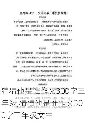 猜猜他是谁作文300字三年级,猜猜他是谁作文300字三年级女生-第1张图片-安安范文网