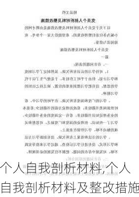 个人自我剖析材料,个人自我剖析材料及整改措施-第2张图片-安安范文网