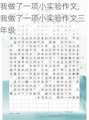 我做了一项小实验作文,我做了一项小实验作文三年级-第2张图片-安安范文网