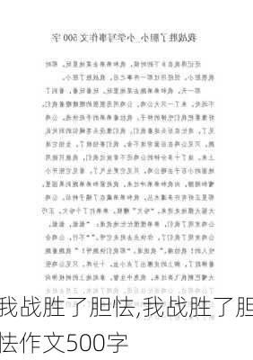 我战胜了胆怯,我战胜了胆怯作文500字-第2张图片-安安范文网