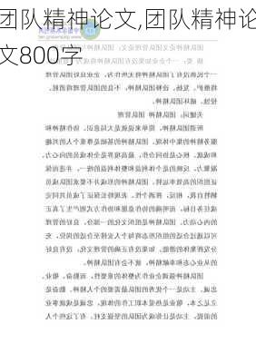 团队精神论文,团队精神论文800字-第2张图片-安安范文网