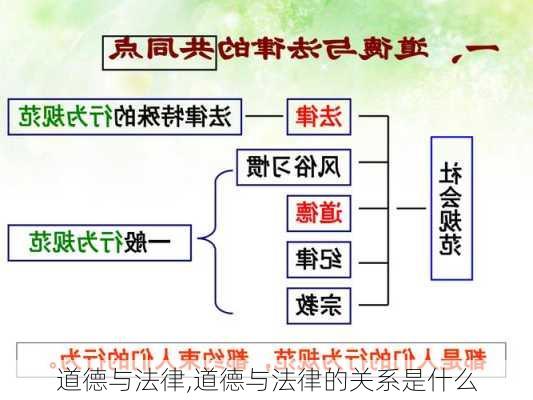 道德与法律,道德与法律的关系是什么-第1张图片-安安范文网