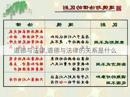 道德与法律,道德与法律的关系是什么-第2张图片-安安范文网