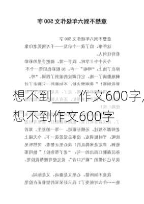 想不到____作文600字,想不到作文600字-第3张图片-安安范文网