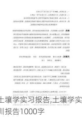 土壤学实习报告,土壤学实训报告1000字-第2张图片-安安范文网