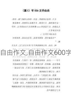 自由作文,自由作文600字-第2张图片-安安范文网