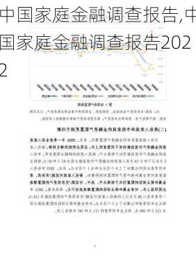 中国家庭金融调查报告,中国家庭金融调查报告2022-第1张图片-安安范文网