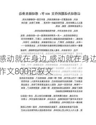 感动就在身边,感动就在身边作文800记叙文-第1张图片-安安范文网