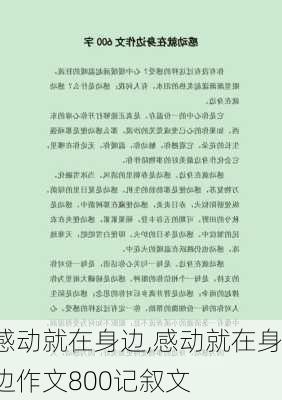 感动就在身边,感动就在身边作文800记叙文-第3张图片-安安范文网