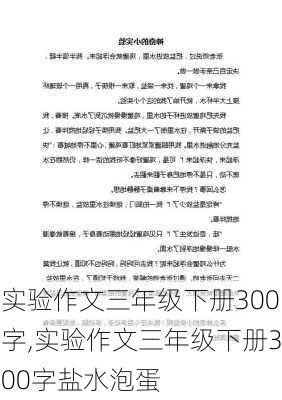 实验作文三年级下册300字,实验作文三年级下册300字盐水泡蛋-第2张图片-安安范文网