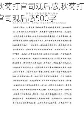 秋菊打官司观后感,秋菊打官司观后感500字-第2张图片-安安范文网