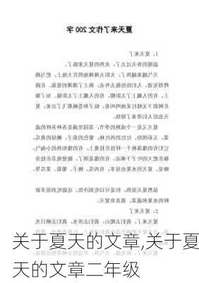 关于夏天的文章,关于夏天的文章二年级-第1张图片-安安范文网