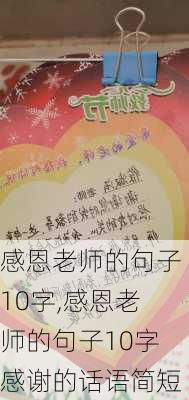 感恩老师的句子10字,感恩老师的句子10字感谢的话语简短-第3张图片-安安范文网