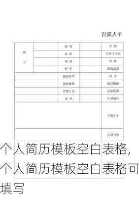 个人简历模板空白表格,个人简历模板空白表格可填写-第3张图片-安安范文网